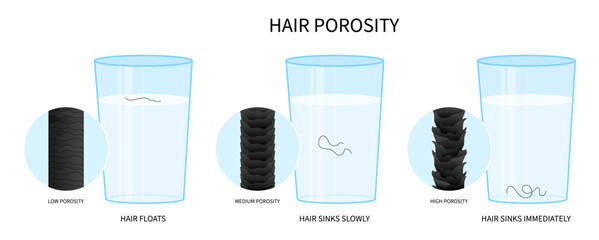 moisturization sinks drop hair porosity test for dryness thinning hydration - obrazy, fototapety, plakaty