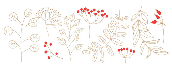 Plant sketch set. Winter golden and red colors plants. Vector illustration twigs and berries doodle style isolated on white background. Seasonal doodle. Rustic wedding greenery. Christmas florals