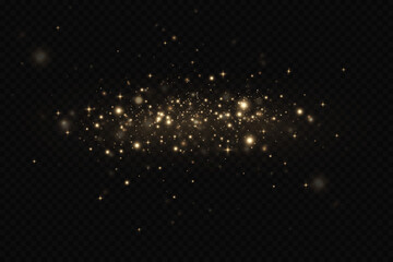 Light effect. Background of sparkling particles. Glittering elements on a transparent background.