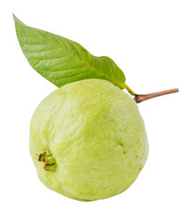 guava with leaves isolated and save as to PNG file - 538083877