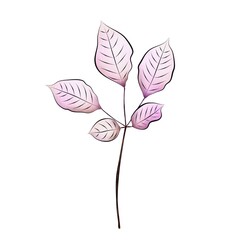 Watercolor isolated branch on a white background. Separate element for bouquets, wreaths, wedding invitations, anniversaries, birthdays, cards and congratulations.