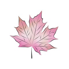 Watercolor isolated pink maple leaf. Separate element for bouquets, wreaths, wedding invitations, anniversaries, birthdays, cards and congratulations.