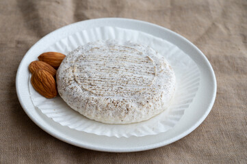 Taste of Provence, small round cheese Tome de Provence made from goat milk in Banon, Alpes-de-Haute-Provence, France