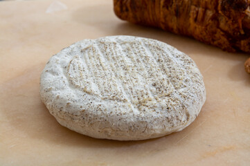 Taste of Provence, small round cheese Tome de Provence made from goat milk in Banon, Alpes-de-Haute-Provence, France
