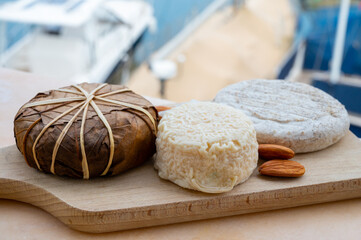 Taste of France, small round cheese Tome de Provence, matured small goat cheese and mountains...