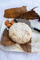 French mountains cheese banon wrapped in chestnut leaves made in Provence from unpasteurised goat milk