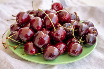 Giant fresh ripe black cherries, new harvest, ready to eat close up