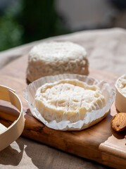 French cheeses Rocamadour and Saint-Marcellin served on olive tree wooden plank with almonds