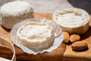 Fototapeta na wymiar French cheeses Rocamadour and Saint-Marcellin served on olive tree wooden plank with almonds