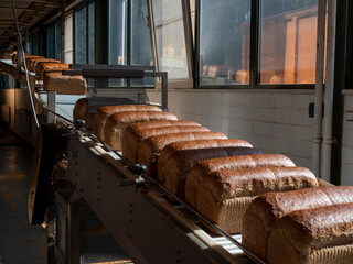 Bread on a conveyor belt in a bakery factory