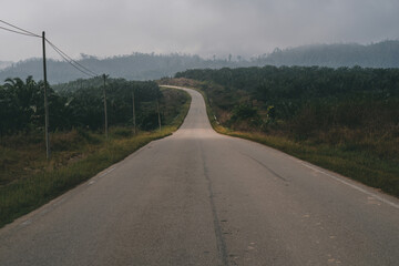 Fototapeta na wymiar Empty asphalt road and green tea plantation nature landscape.