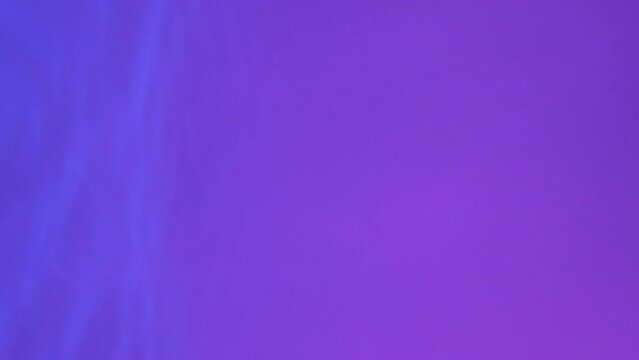 Neon Blue, pink and purple Water gradient texture with drops, splashes and waves. Organic water toned in blue and pink gradient with the refraction of light slow motion video banner.