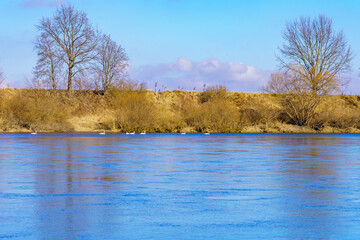 Beautiful view of the river bank calm winter wildlife. Background with copy space
