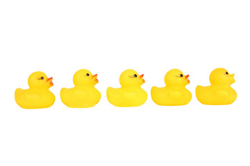 Five yellow plastic rubber ducks in a row, png stock photo file cut out and isolated on a...