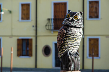 Il pupazzo di plastica di un gufo sistemato su un palo di legno per spaventare i piccioni a Murano 