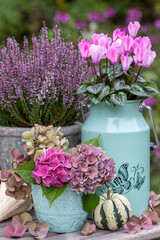 florales Arrangement mit Hortensien-Strauß, pink Alpenveilchen und Heidekraut in vintage Gefäßen