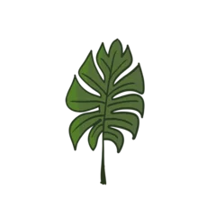 Tapeten Monstera green monstera leaf, isolated png transparent background