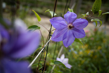 9月浜名湖ガーデンパーク
