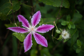 9月浜名湖ガーデンパーク