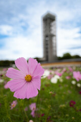 9月浜名湖ガーデンパーク