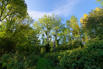 The Thérouanne valley  in Seine et Marne country 
