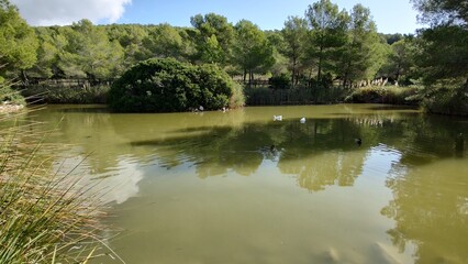 Lago en población de El Vendrell, España