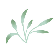 Obraz premium Beautiful green leaves