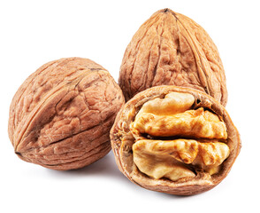 Walnuts and walnut kernel isolated on white background.