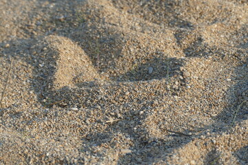 Strand Kroatien