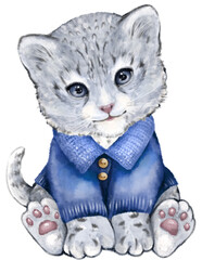 Cartoon cute snow leopard in blue knit sweater new year, hand-painted watercolor illustration; can be used for children's plays or children's posters; on a transparent insulated background