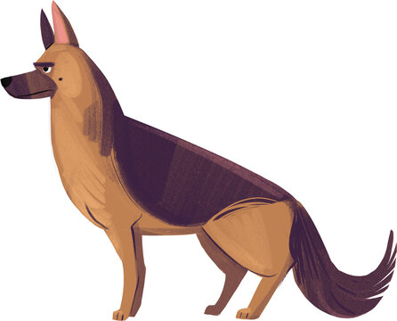 German Shepherd. PNG Cartoon Illustration