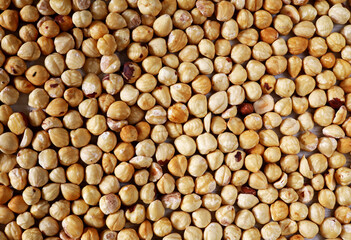 background with dried organic hazelnuts