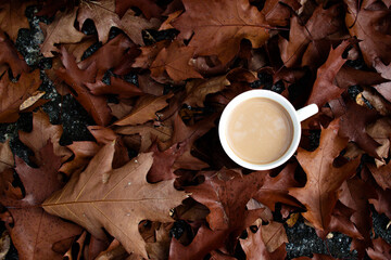 A white cup of hot coffee with milk stands among fallen oak leaves.