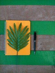 Book, leaf and pen on green wood background