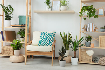 Beautiful living room interior with different houseplants and wooden furniture