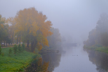 Fototapeta na wymiar mist over the river
