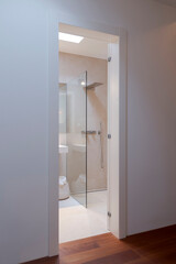 From the open door corridor with parquet floor, detail of a glimpse of a newly renovated bathroom