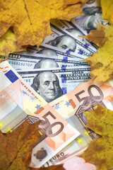 US dollars and Euro banknotes covered with yellow maple leaves, vertical shot. American and european economy at autumn, exchange rate