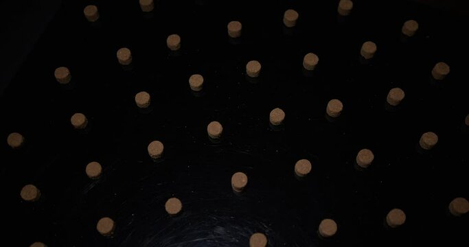 Dry pet dog or cat food snackes rotates in a circle 360 degree