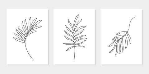 Vector set of hand drawn line tropical monstera, eucalyptus leaves illustrations, wall art minimalist floral plants prints, home decor posters, Mid Century Modern logo design elements