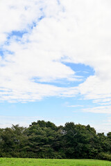 Obraz premium 高原の草原