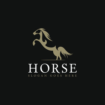 Animal Logo Design Concept Vector. Horse Logo Template Vector