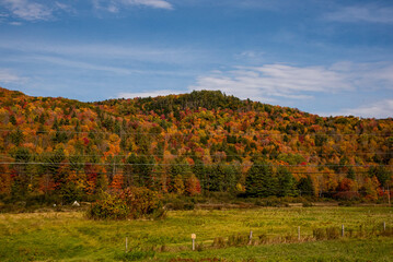 New England Autumn Landscape
