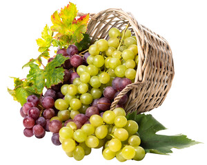 PNG Grapes green and pink in an upside down basket