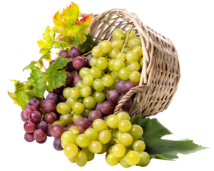 PNG Grapes green and pink in an upside down basket