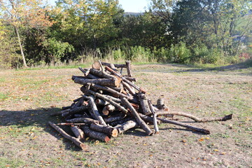 Martinsfeuer. Lagerfeuer.