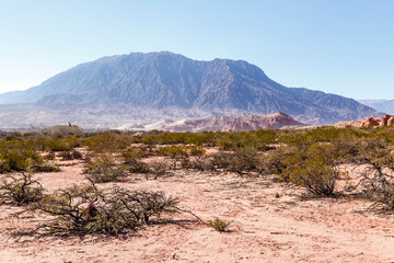 View at the castles (los castillos) rocks in Quebrada de Cafayate, Salta, Argentina, South America