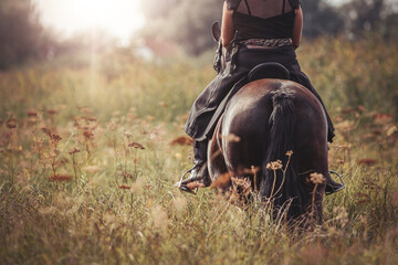 Romantic portrait of a female equestrian riding on her horse. View from behind. Summer evening scene