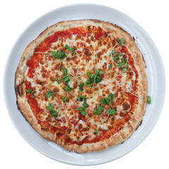 margherita pizza baked food transparent PNG