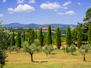 Fototapeta premium Amazing Tuscan Landscape